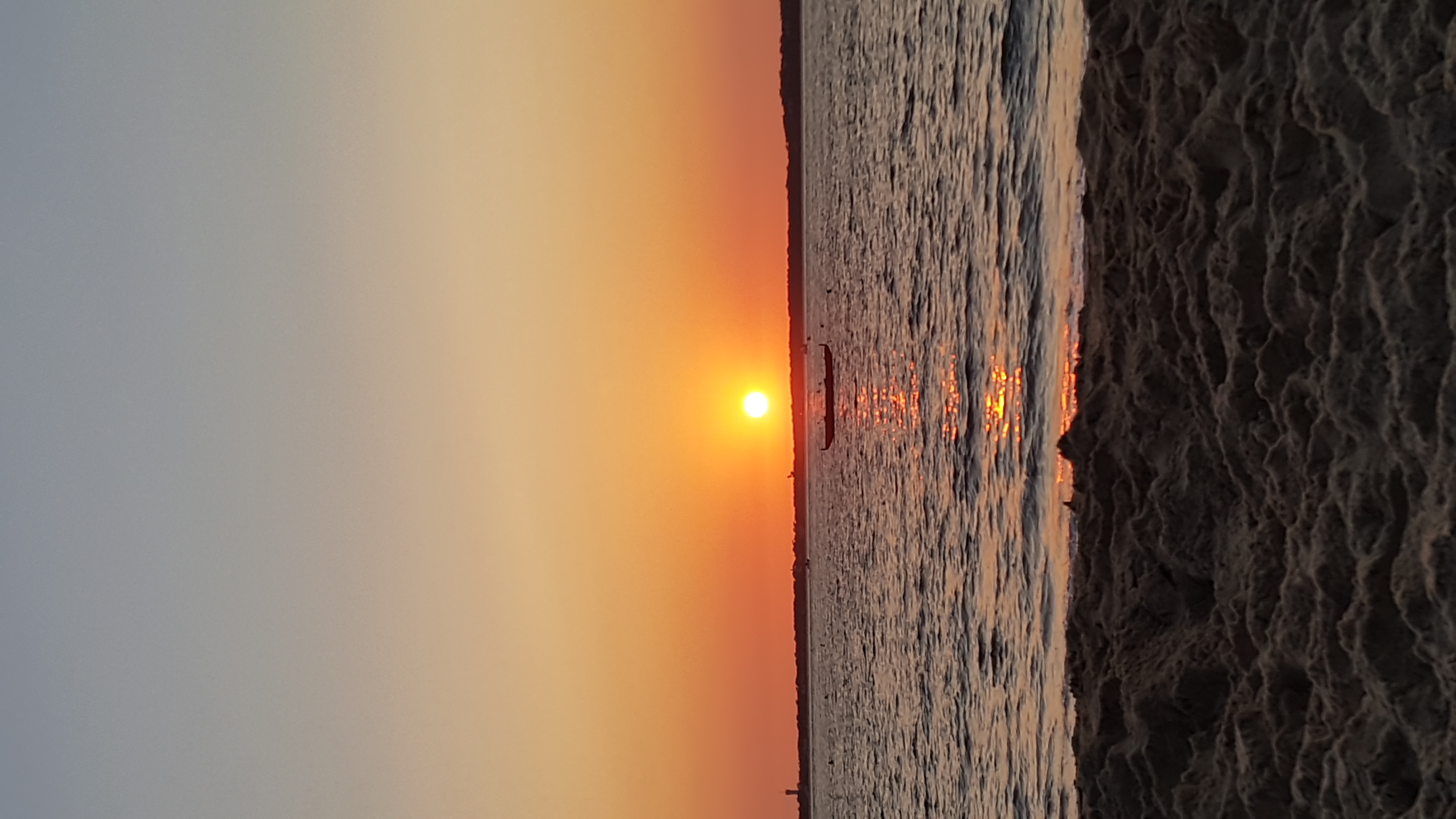 Arcachon - au Coeur des Landes de Gascogne